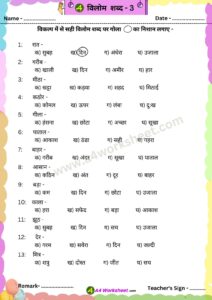 Vilom Shabd 3 Hindi PDF Worksheet Download class 1st to 5th A4worksheet.com