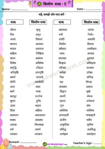 Vilom Shabd 5 Hindi PDF Worksheet Download class 1st to 5th A4worksheet.com